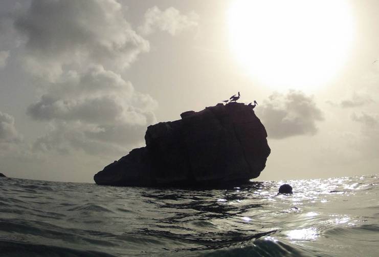 Resultado de imagem para rochedo junto ao mar em preto e branco